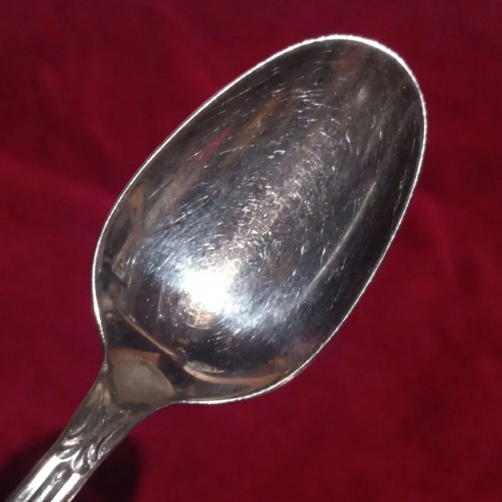 Americana Products AMP2 Stainless Steel Oval Soup Spoon-Set Of 4-Floral-Vintage